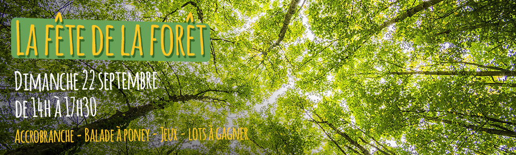 La Fête de la Forêt – Le 22 Septembre