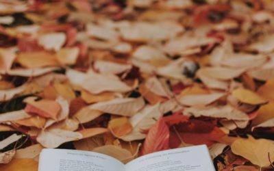 Bulletin municipal – Octobre 2020