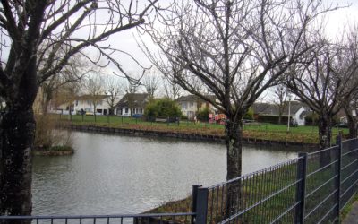 Travaux en cours à la mare aux canards ou bassin Brantôme