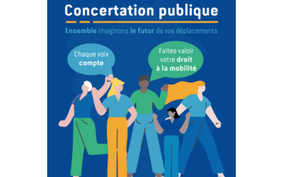 Plan Local des Mobilités – enquête