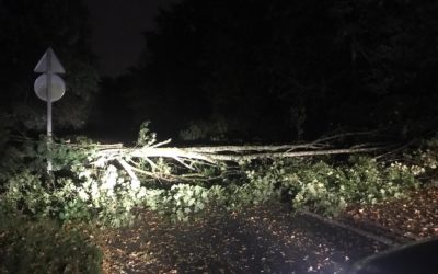 [ALERTE TERMINEE] Un arbre bloque l’entrée de Pontcarré