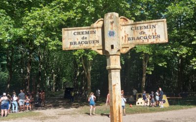 Fête de la Forêt réussie sous une belle météo