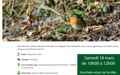 ILE-de-FRANCE Nature > démarrage des animations Nature – prochain RDV en Forêt de Ferrières