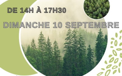 Fête de la Forêt 2023