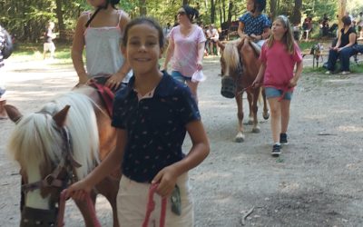 Fête de la forêt 2023 : beau succès malgré la chaleur