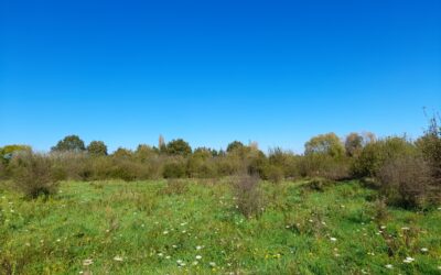Une nouvelle promenade naturelle pour tous à Collégien
