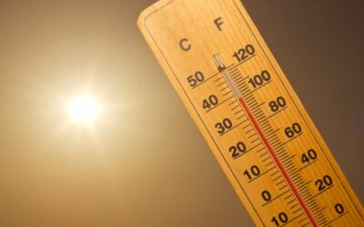 Alerte canicule