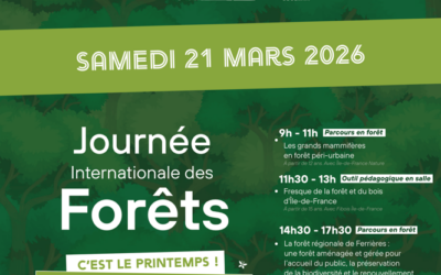 Journée internationale des forêts en Forêt régionale de Ferrières