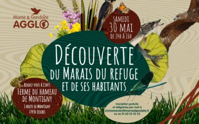 Découverte du marais du refuge et de ses habitants
