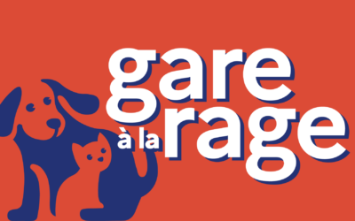 La rage : une menace toujours présente à l’étranger – soyons vigilants !